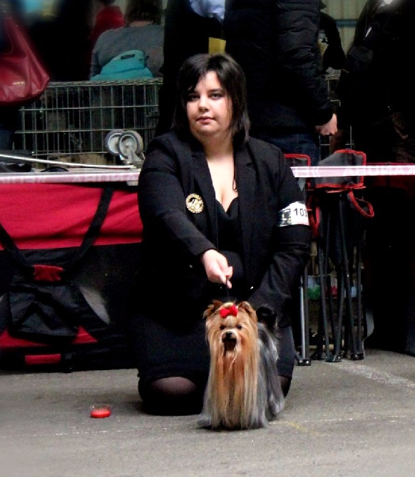 Des Anges De Lumiére -  International DogShow 